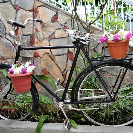 Evaggelou Appartamento